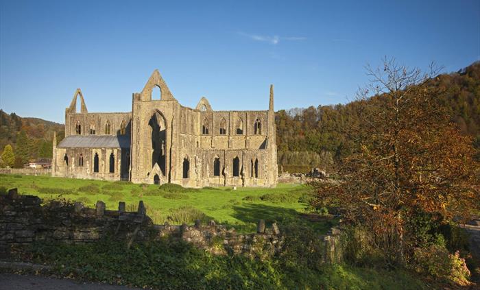 Tintern Abbey, Monmouthshire